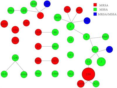 Molecular typing and characterization of Staphylococcus aureus isolates from burn wound infections in Fujian, China